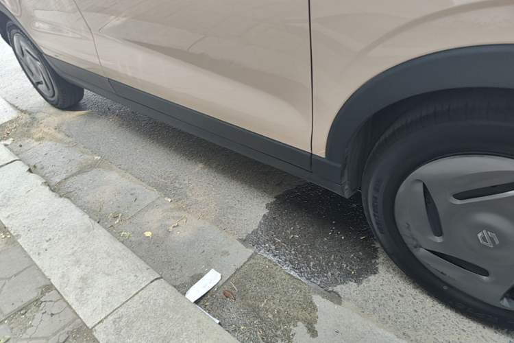 Used Leapmotor T03 2023 200 Lite Edition Right Side Sill