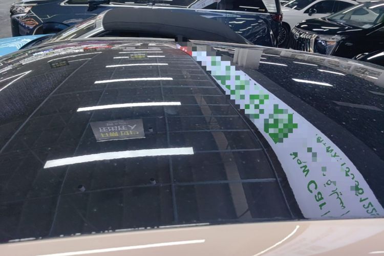 Used Leapmotor T03 2023 200 Lite Edition Roof