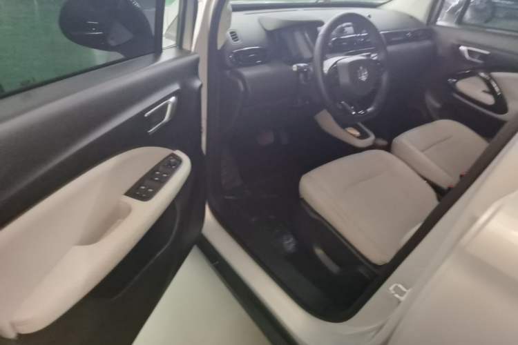 Used Leapmotor T03 2023 310 Lite Edition Driver Seat