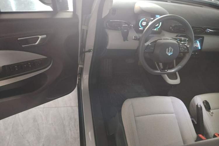 Used Leapmotor T03 2023 200 Lite Edition Driver Seat