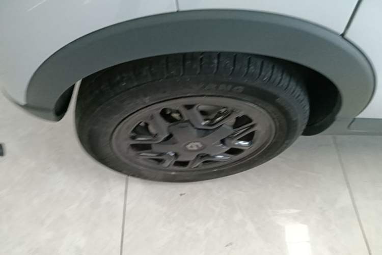 Used Leapmotor T03 2023 310 Lite Edition Exterior 5
