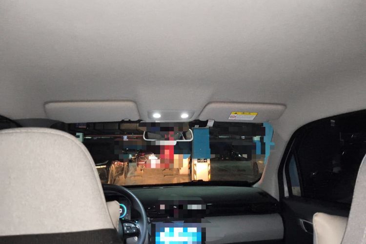 Used Leapmotor T03 2023 310 Lite Edition Headliner
