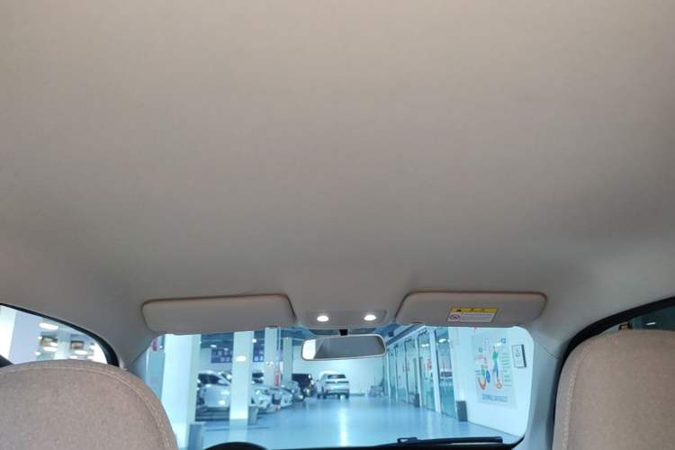 Used Leapmotor T03 2023 310 Lite Edition Headliner