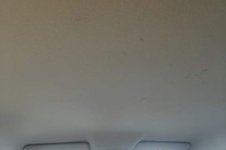 Used Leapmotor T03 2023 310 Lite Edition Headliner