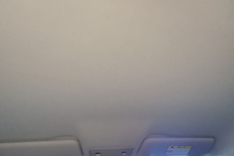 Used Leapmotor T03 2023 310 Lite Edition Headliner