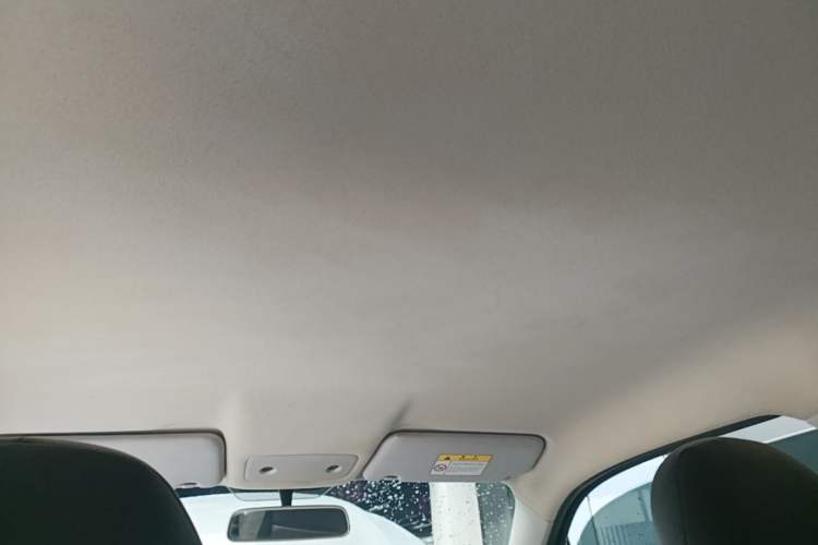 Used Leapmotor T03 2023 403 Lite Edition Headliner
