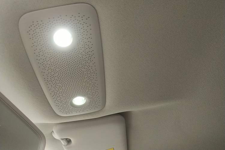Used Leapmotor T03 2023 310 Lite Edition Headliner