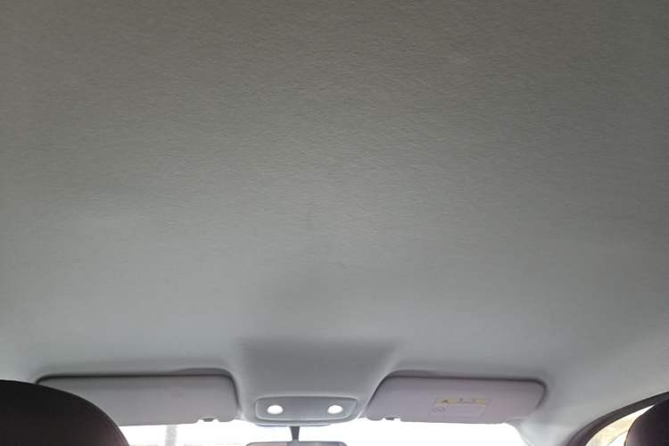 Used Leapmotor T03 2023 310 Lite Edition Headliner
