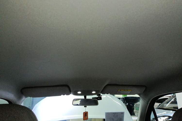 Used Leapmotor T03 2023 310 Lite Edition Headliner