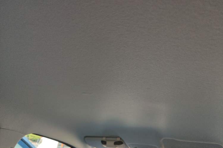 Used Leapmotor T03 2023 310 Lite Edition Headliner