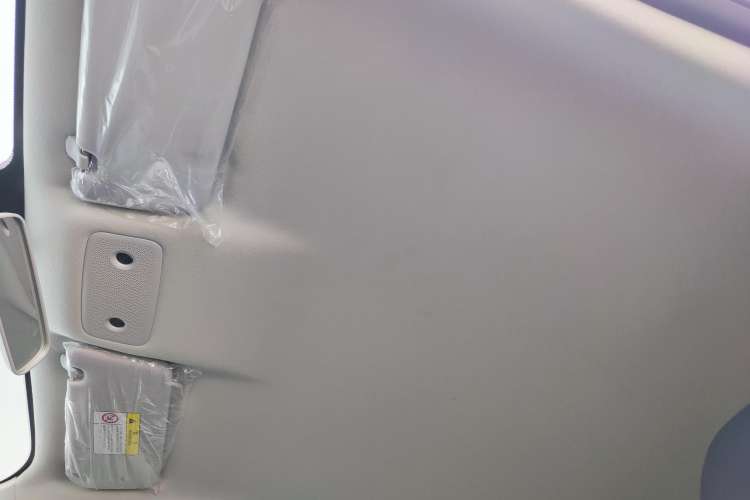 Used Leapmotor T03 2023 200 Lite Edition Headliner