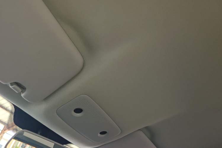 Used Leapmotor T03 2023 403 Lite Edition Headliner