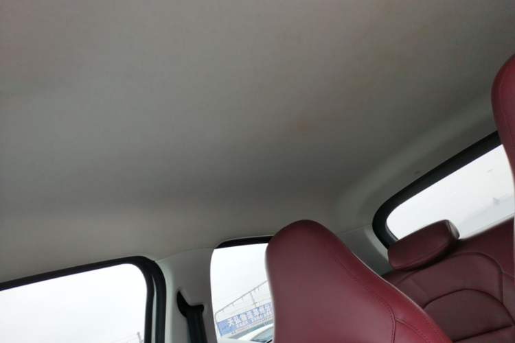 Used Leapmotor T03 2023 310 Lite Edition Headliner