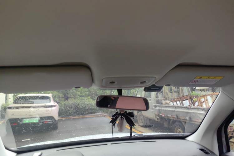 Used Leapmotor T03 2023 200 Lite Edition Headliner