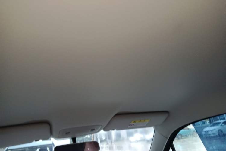 Used Leapmotor T03 2023 200 Lite Edition Headliner