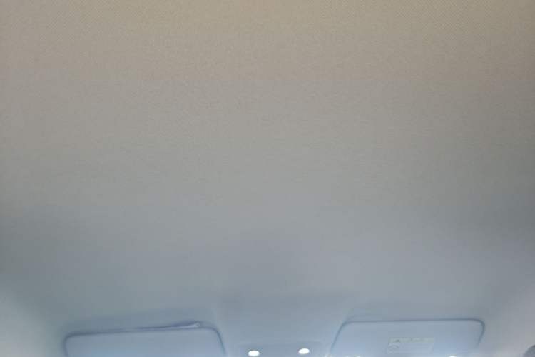 Used Leapmotor T03 2023 403 Lite Edition Headliner