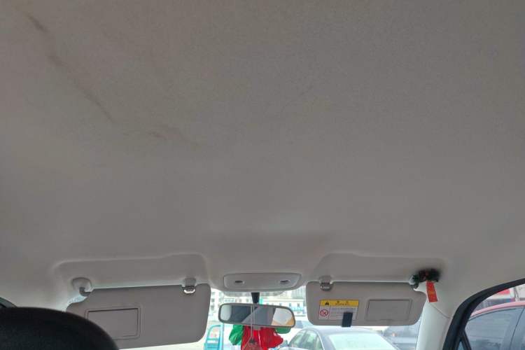 Used Leapmotor T03 2023 200 Lite Edition Headliner