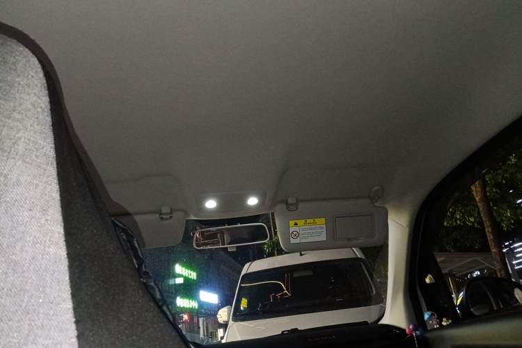 Used Leapmotor T03 2023 200 Lite Edition Headliner