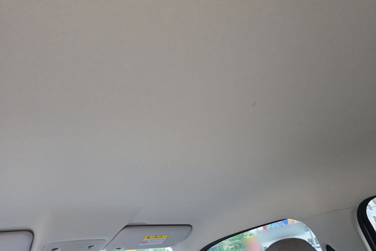 Used Leapmotor T03 2023 200 Lite Edition Headliner