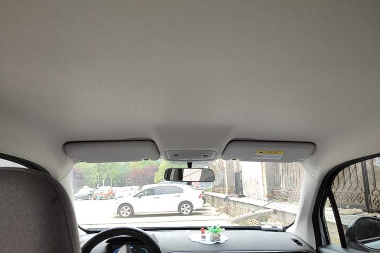 Used Leapmotor T03 2023 200 Lite Edition Headliner