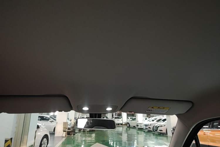 Used Leapmotor T03 2023 310 Lite Edition Headliner