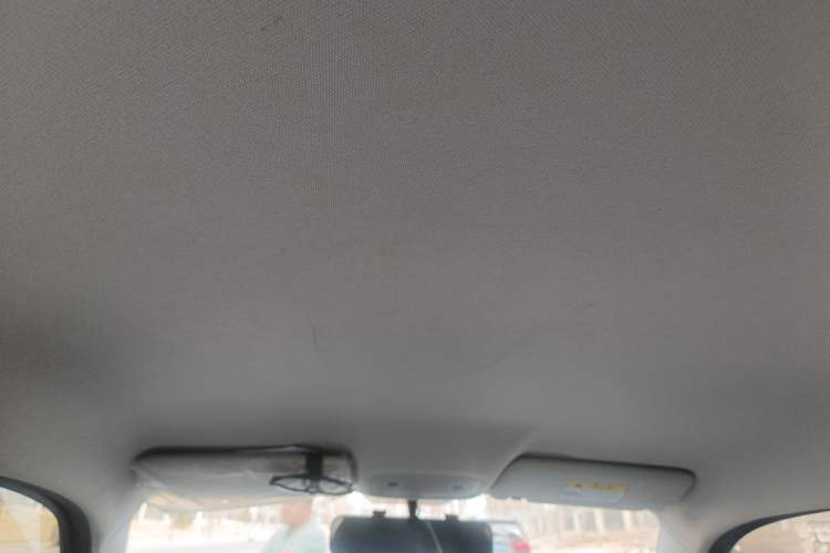 Used Leapmotor T03 2023 310 Lite Edition Headliner