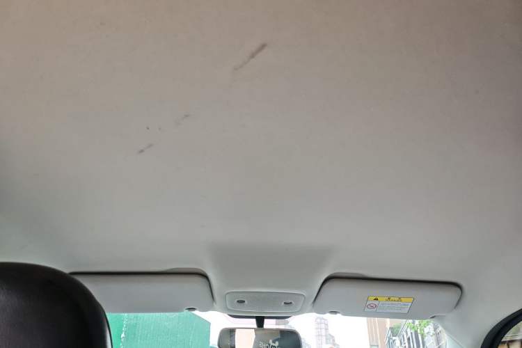Used Leapmotor T03 2023 200 Lite Edition Headliner