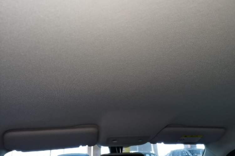 Used Leapmotor T03 2023 310 Lite Edition Headliner