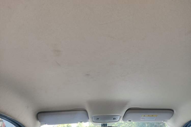 Used Leapmotor T03 2023 310 Lite Edition Headliner