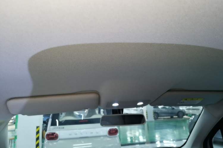 Used Leapmotor T03 2023 310 Lite Edition Headliner