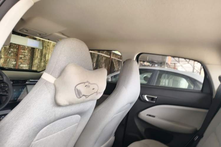 Used Leapmotor T03 2023 200 Lite Edition Headliner