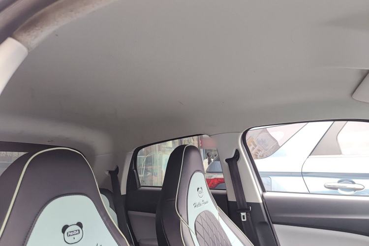 Used Leapmotor T03 2023 310 Lite Edition Headliner