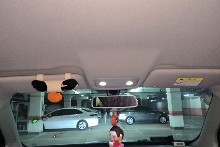 Used Leapmotor T03 2023 310 Lite Edition Headliner