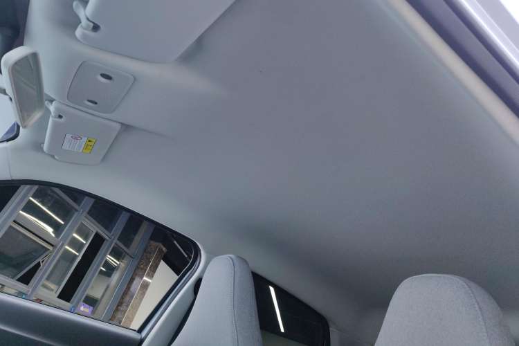 Used Leapmotor T03 2023 310 Lite Edition Headliner