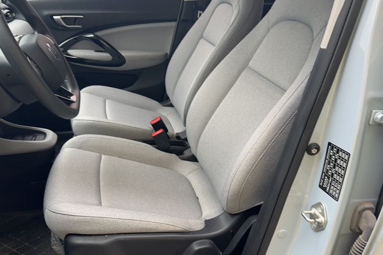 Used Leapmotor T03 2023 310 Lite Edition Left Front Seat