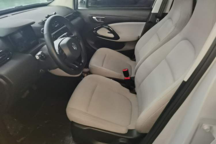 Used Leapmotor T03 2023 310 Lite Edition Left Front Seat