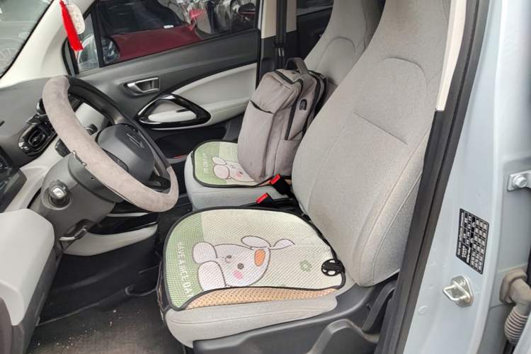 Used Leapmotor T03 2023 310 Lite Edition Left Front Seat