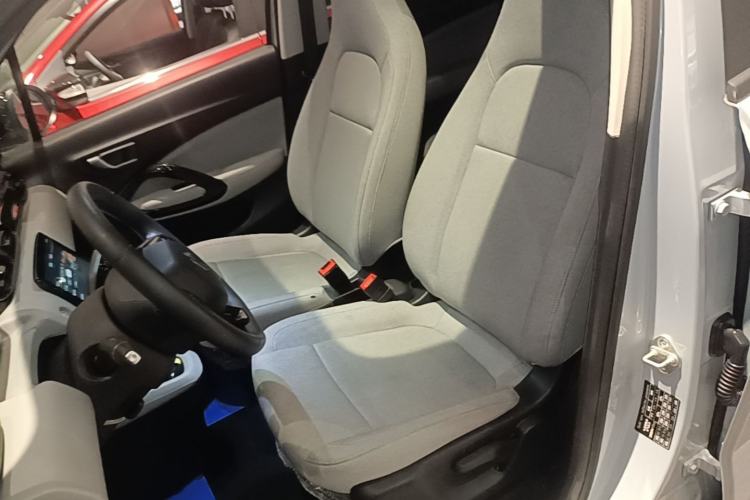 Used Leapmotor T03 2023 403 Smart Edition Left Front Seat