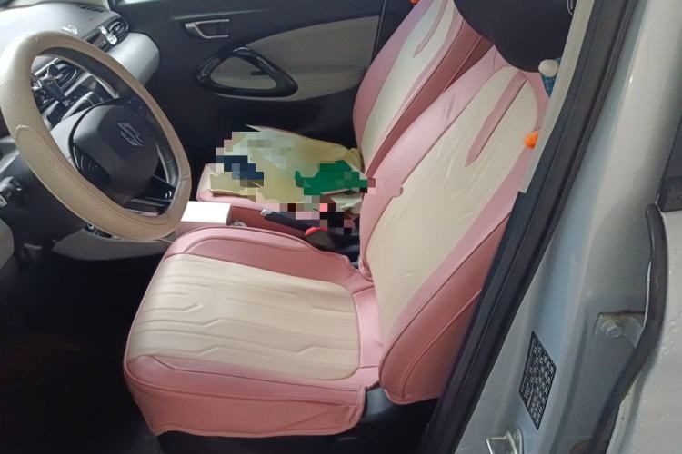 Used Leapmotor T03 2023 200 Lite Edition Left Front Seat