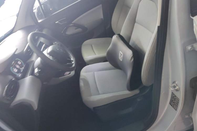 Used Leapmotor T03 2023 403 Lite Edition Left Front Seat