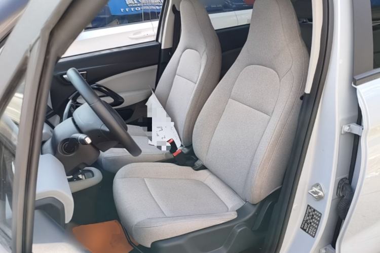Used Leapmotor T03 2023 310 Lite Edition Left Front Seat