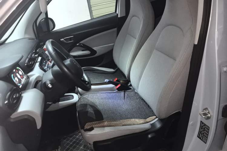 Used Leapmotor T03 2023 200 Lite Edition Left Front Seat