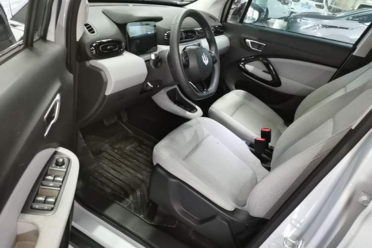 Used Leapmotor T03 2023 310 Lite Edition Left Front Seat