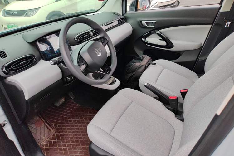 Used Leapmotor T03 2023 200 Lite Edition Left Front Seat