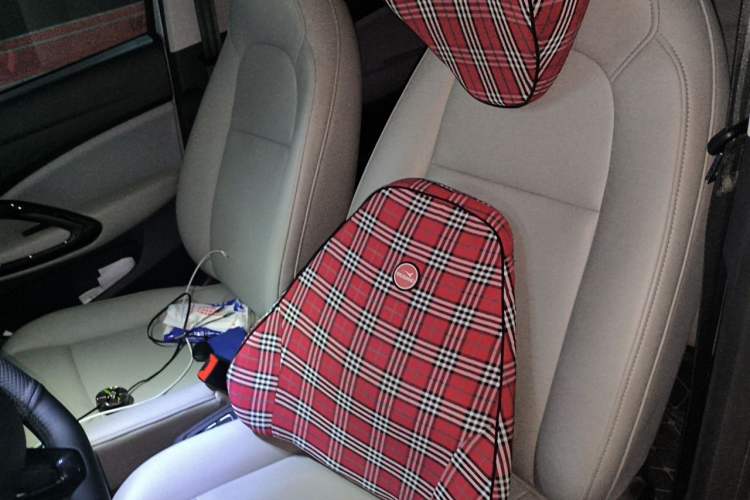 Used Leapmotor T03 2023 310 Lite Edition Left Front Seat