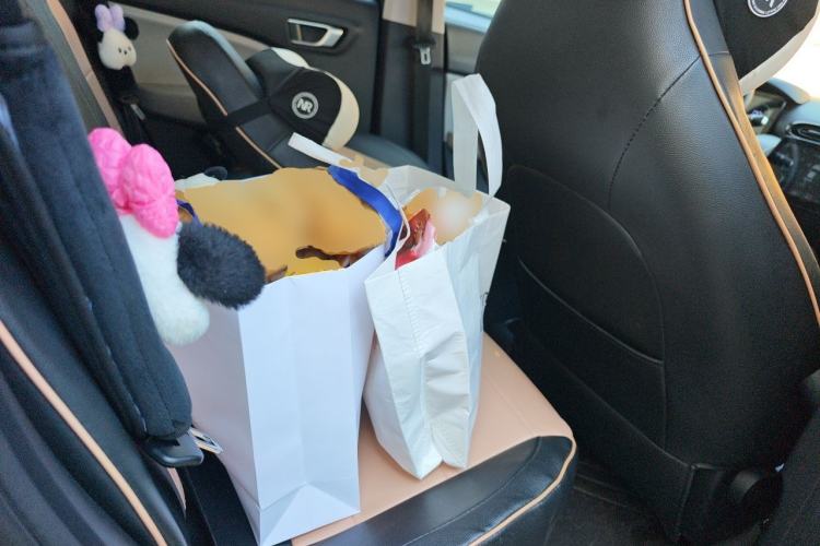 Used Leapmotor T03 2023 310 Lite Edition Left Rear Seat