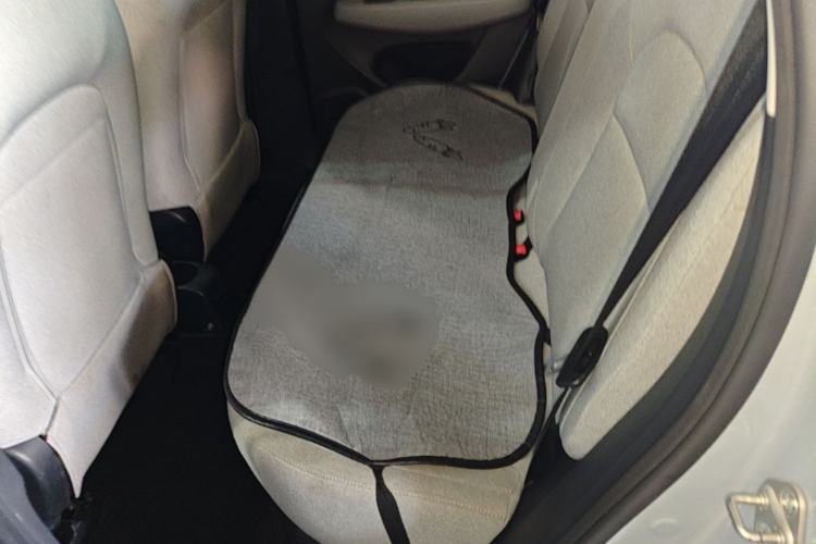 Used Leapmotor T03 2023 310 Lite Edition Left Rear Seat