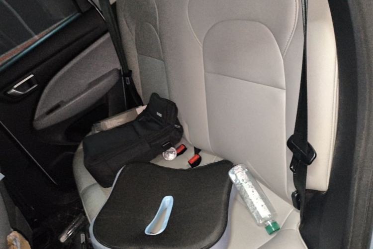 Used Leapmotor T03 2023 310 Lite Edition Left Rear Seat
