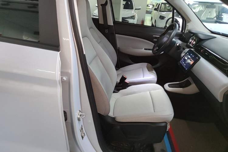 Used Leapmotor T03 2023 310 Lite Edition Right Front Seat