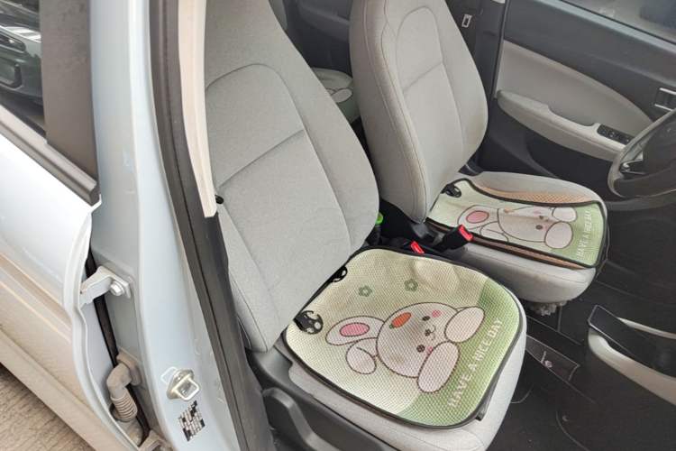 Used Leapmotor T03 2023 310 Lite Edition Right Front Seat